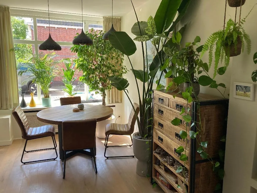 Charming Little Palace Near The City Center But Only Exactly Bookable From 17 July Till 27 July Utrecht